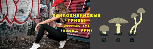 spice Алексин