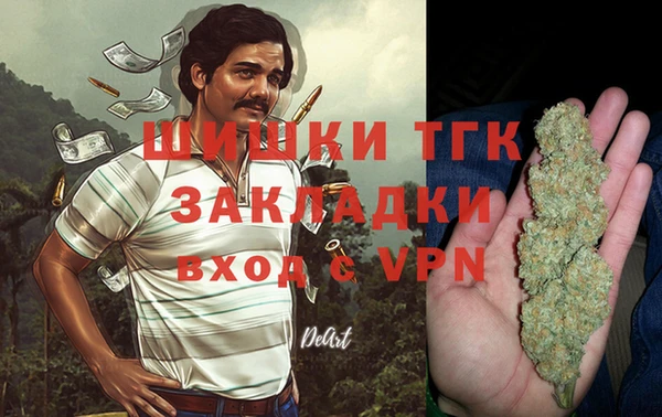 гидра Алексеевка