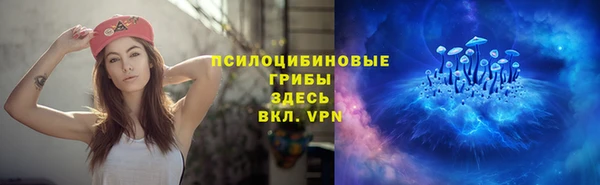 spice Алексин